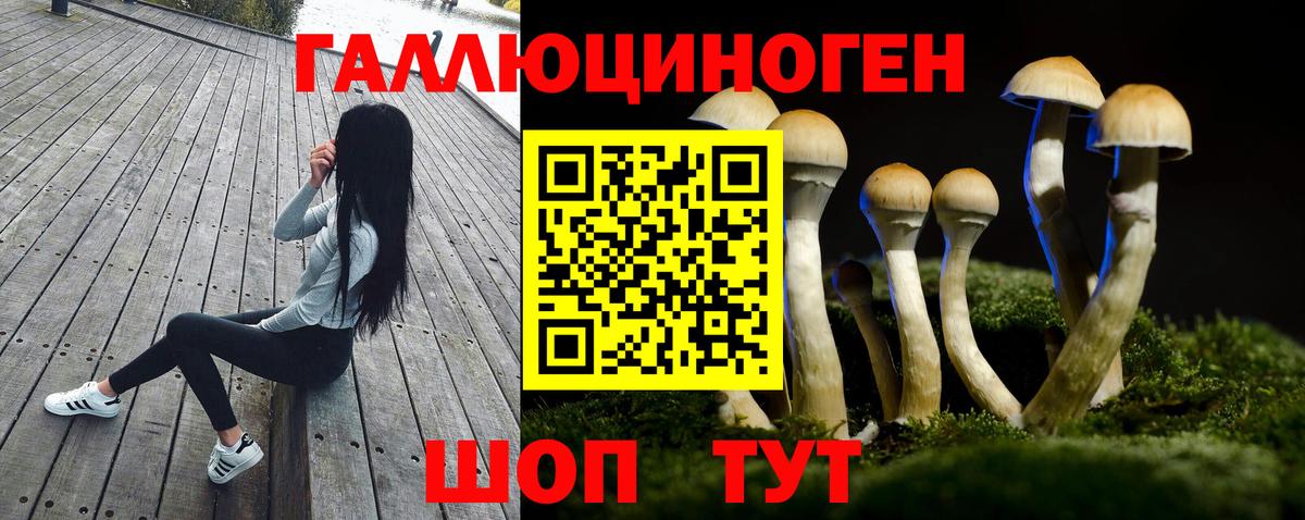 Псилоцибиновые грибы ЛСД Северск