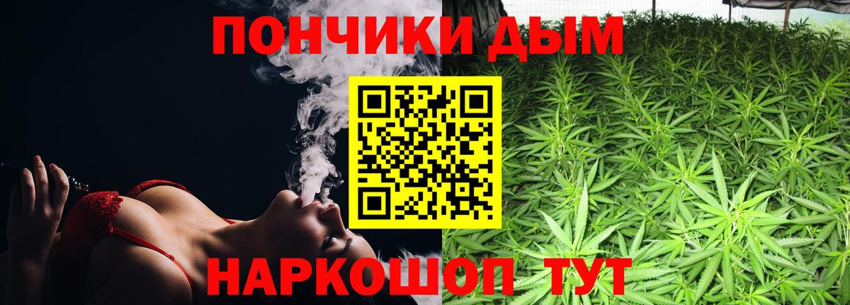 Бошки марихуана индика  Бошки Шишки Bruce Banner  Канабис Amnesia  Северск  Вход с VPN 